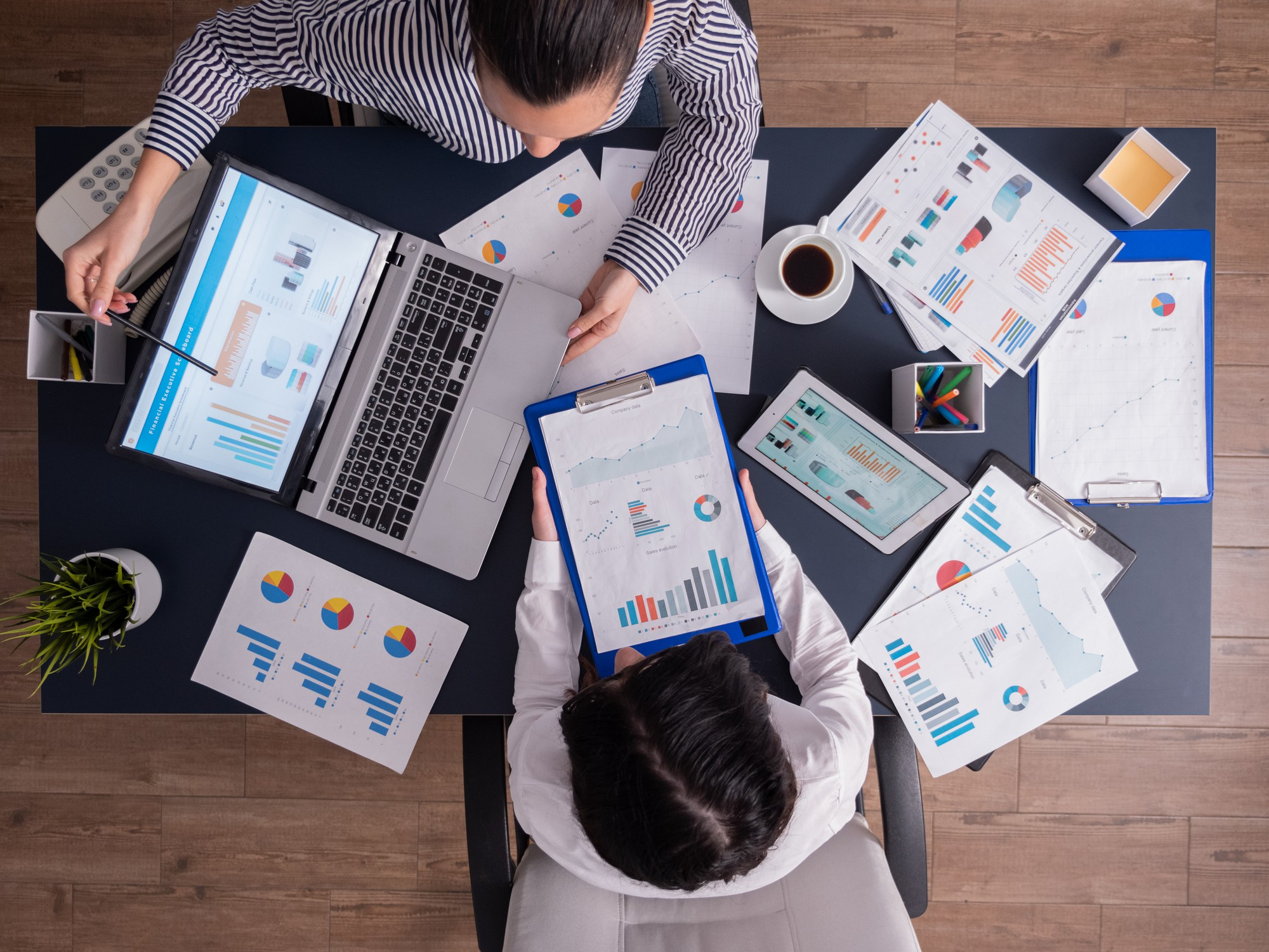 Digital Marketing Agency in Hisar